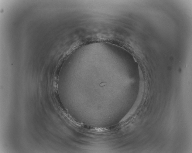 X0000085810672200703231337