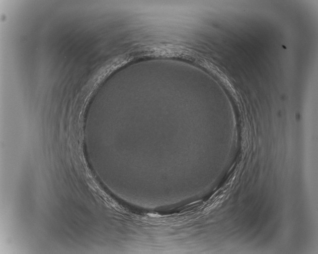 X0000085810673200703231336