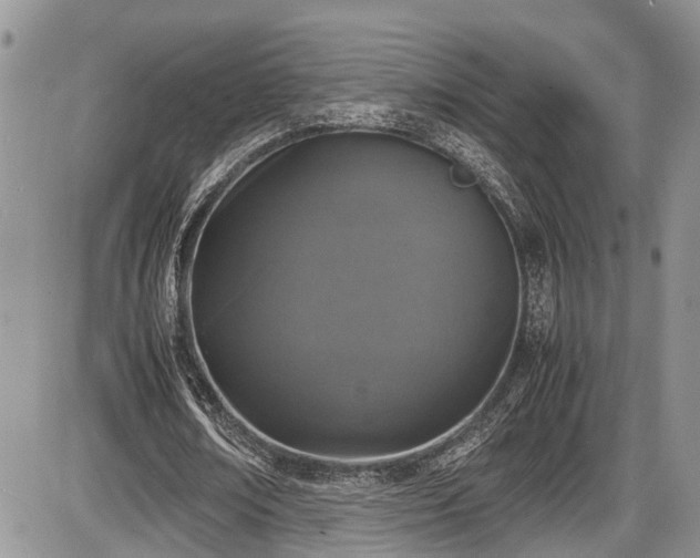 X0000085810674200703231336