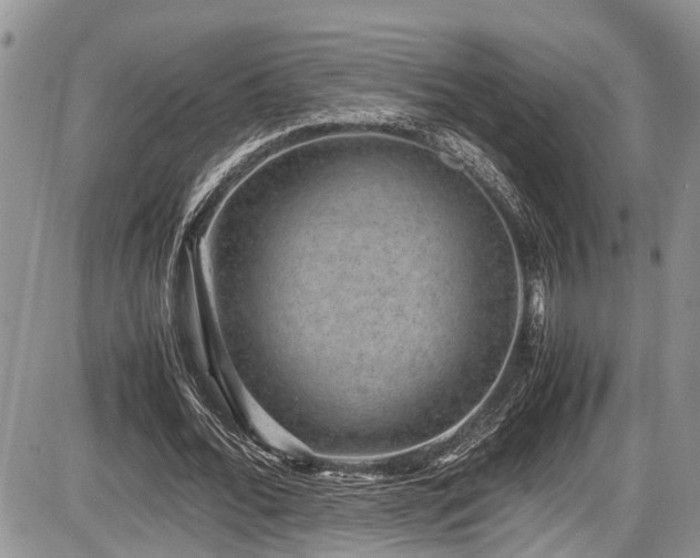 X0000085810676200703231336