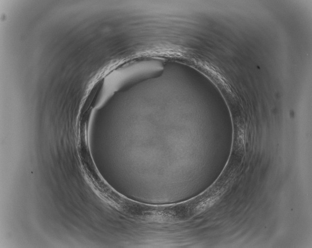 X0000085810678200703231336