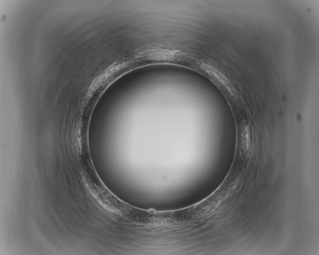 X0000085810682200703231336