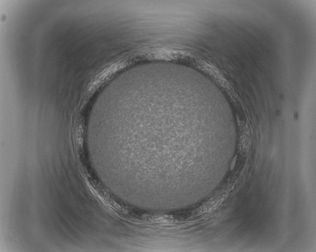 X0000085810683200703231336