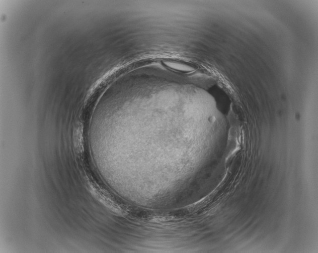 X0000085810684200703231336