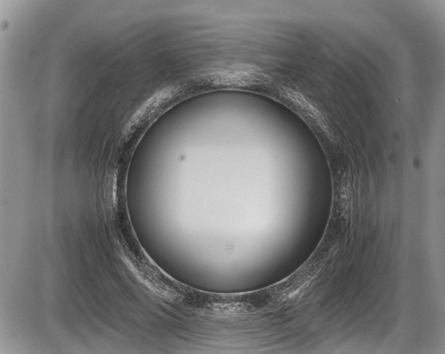 X0000085810686200703231336