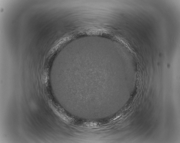 X0000085810687200703231336