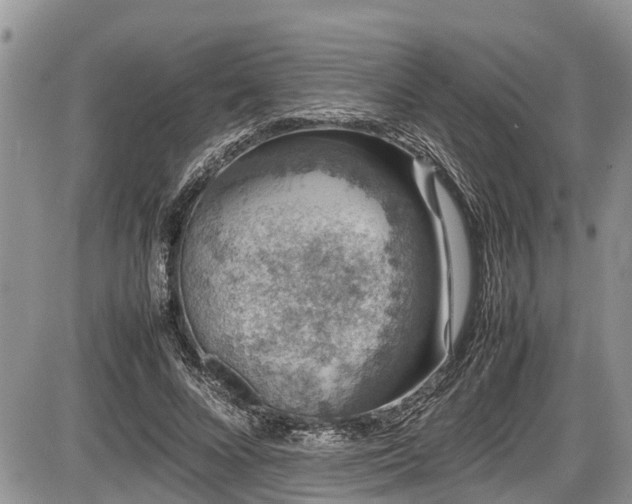 X0000085810688200703231336