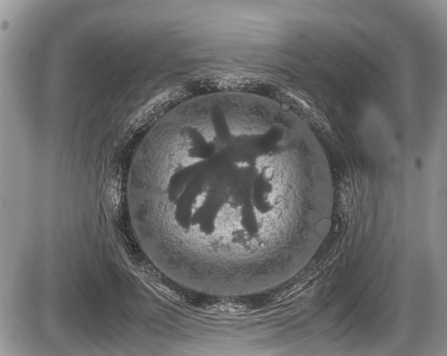 X0000085810691200703231336