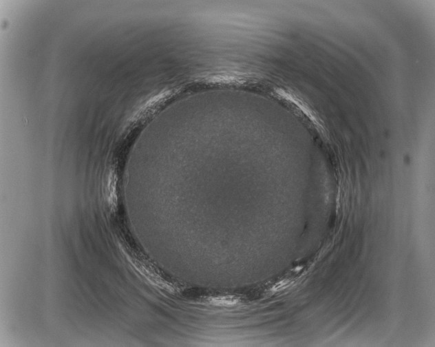 X0000085810692200703231336