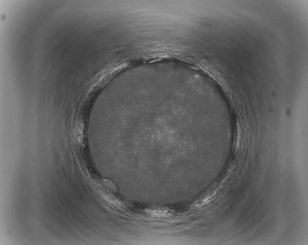 X0000085810693200703231336