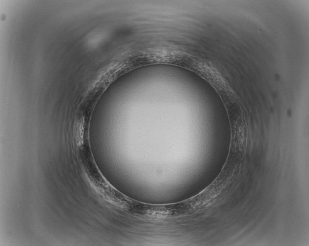 X0000085810694200703231336