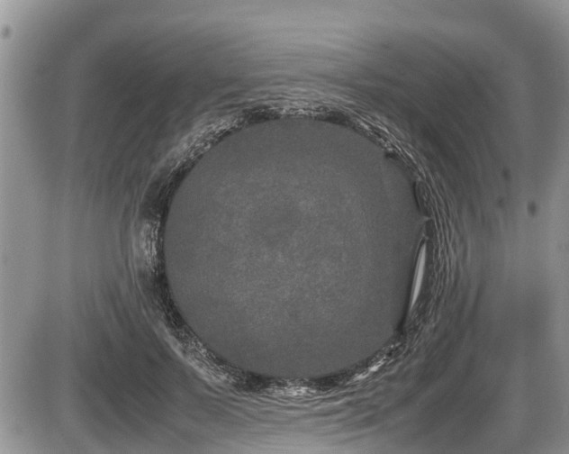 X0000085810695200703231336