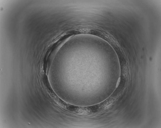 X0000085810697200703231336