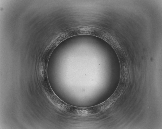 X0000085810698200703231336