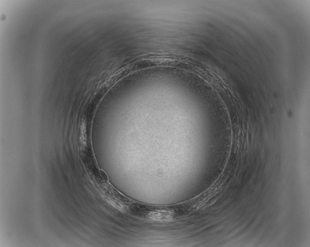 X0000085810700200703231336