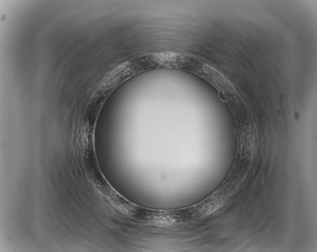 X0000085810702200703231336