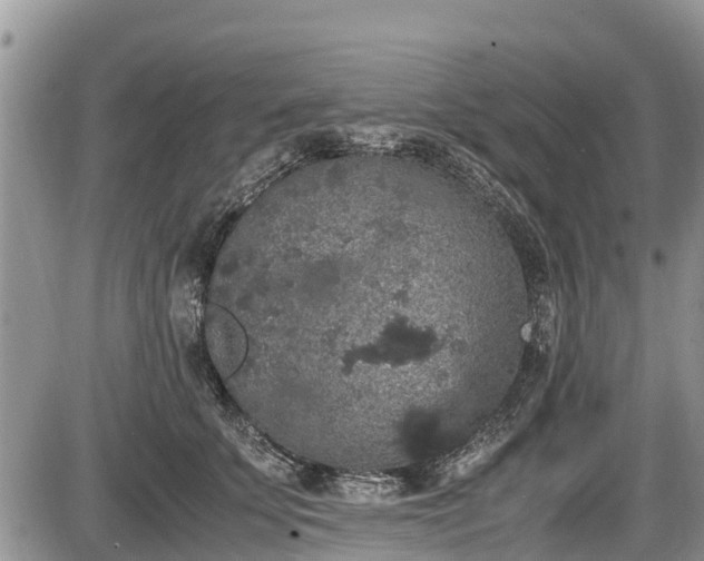 X0000085810707200703231336