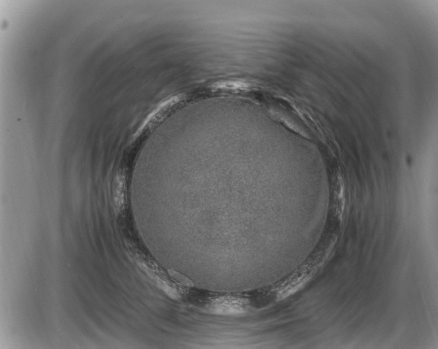 X0000085810708200703231336