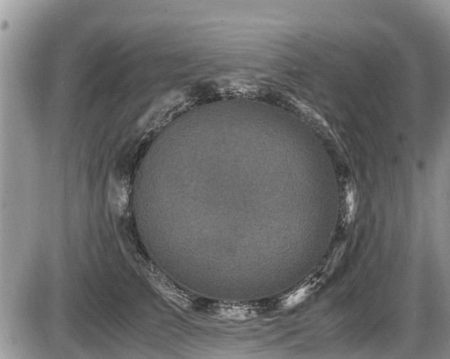 X0000085810709200703231336