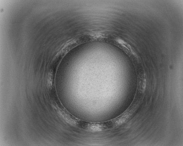 X0000085810710200703231336