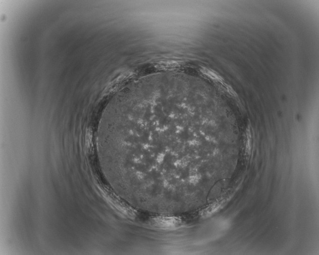 X0000085810711200703231336