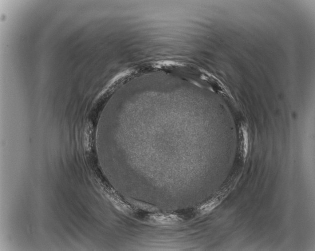 X0000085810712200703231336