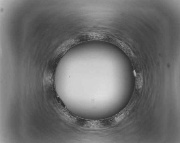 X0000085810713200703231336