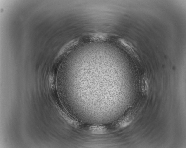 X0000085810714200703231336