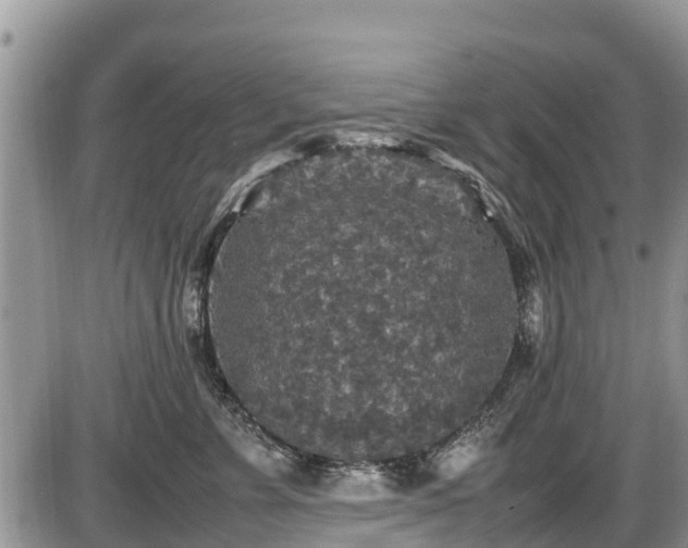 X0000085810715200703231336