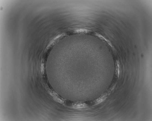 X0000085810716200703231336