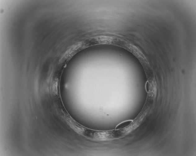 X0000085810717200703231336