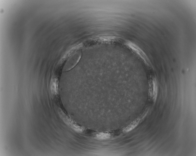 X0000085810718200703231336