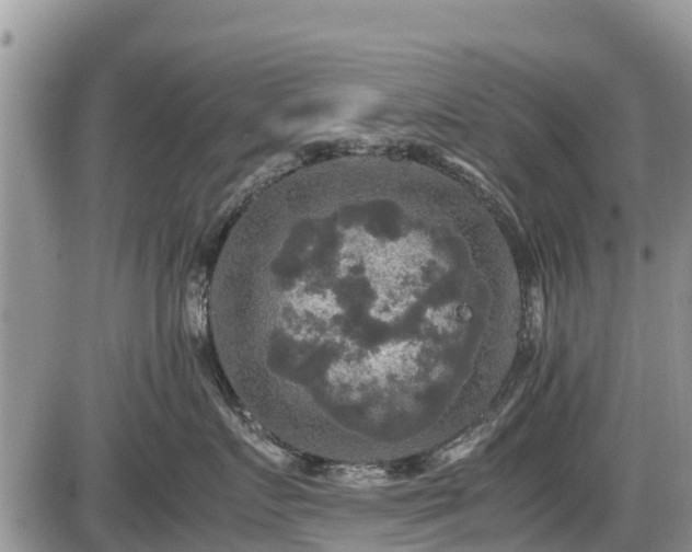 X0000085810719200703231336