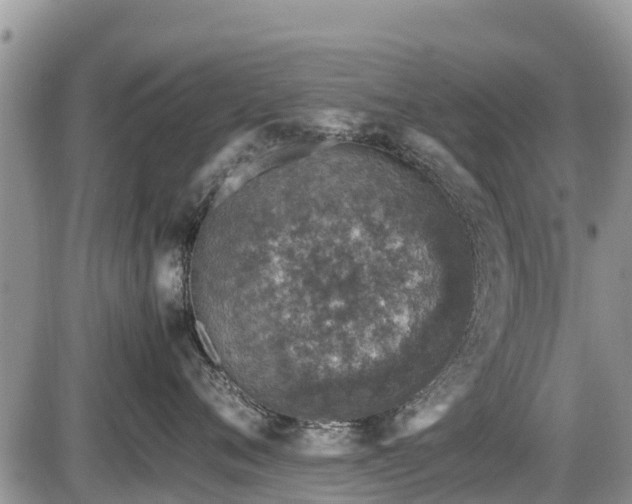 X0000085810720200703231336