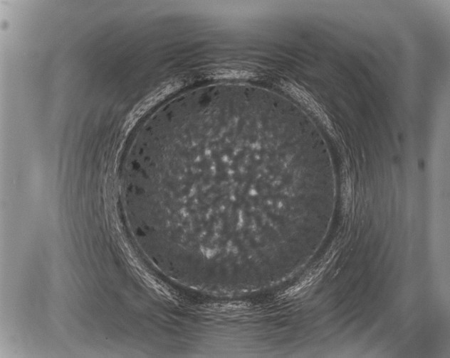 X0000085810721200703231335