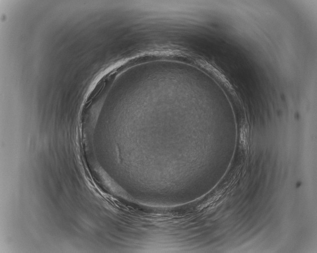 X0000085810724200703231335