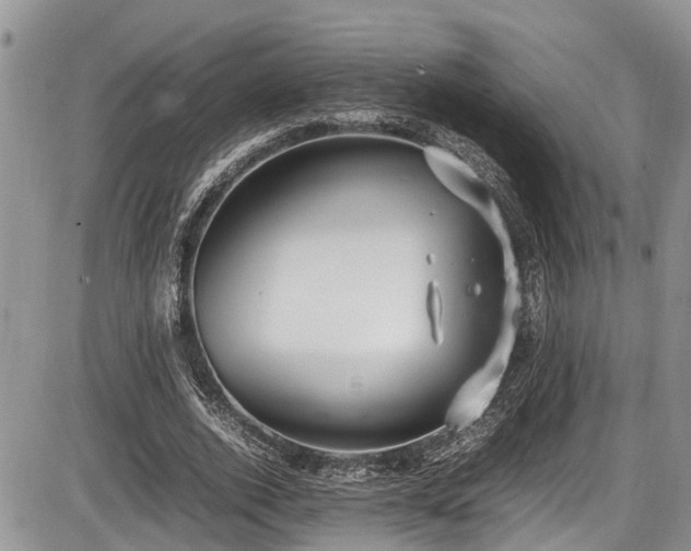 X0000085810728200703231335