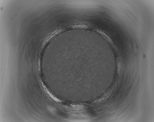 X0000085810729200703231335