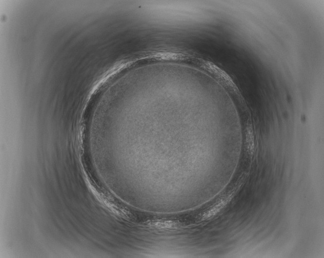 X0000085810730200703231335