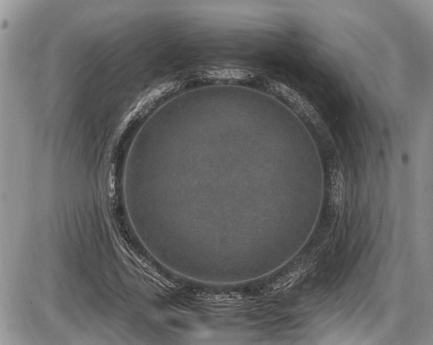 X0000085810731200703231335