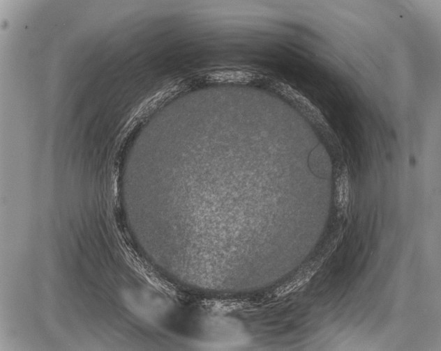 X0000085810733200703231335