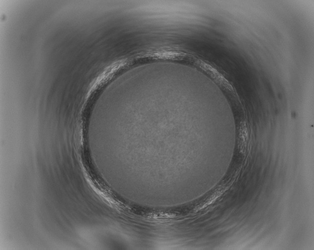 X0000085810734200703231335