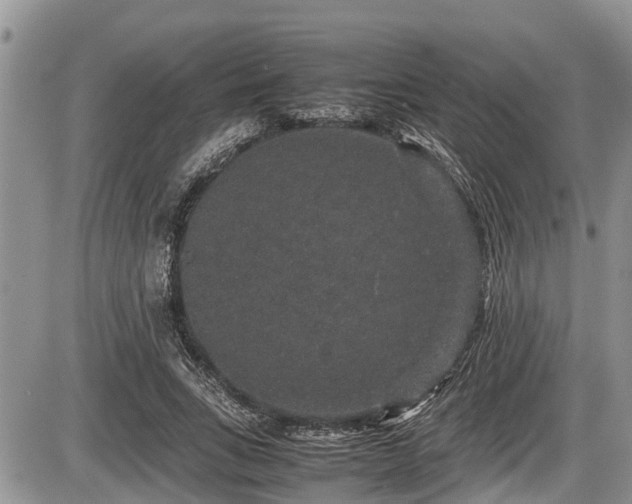 X0000085810735200703231335