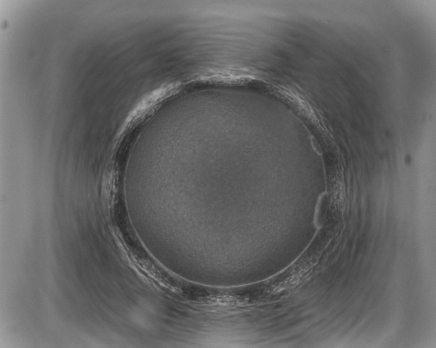 X0000085810736200703231335