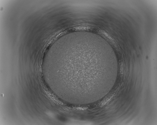 X0000085810737200703231335