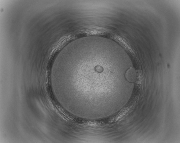 X0000085810738200703231335