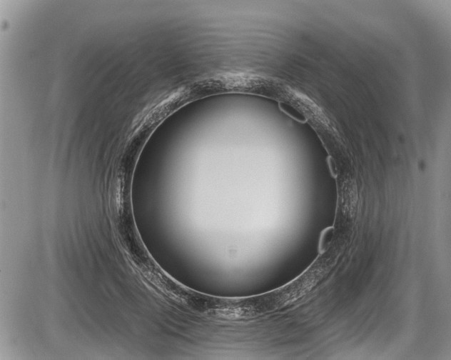 X0000085810740200703231335