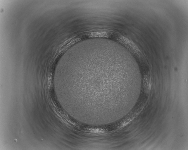 X0000085810741200703231335