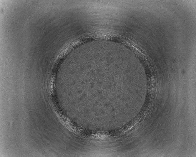 X0000085810742200703231335