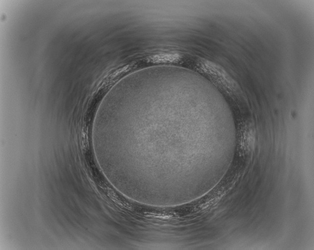 X0000085810743200703231335